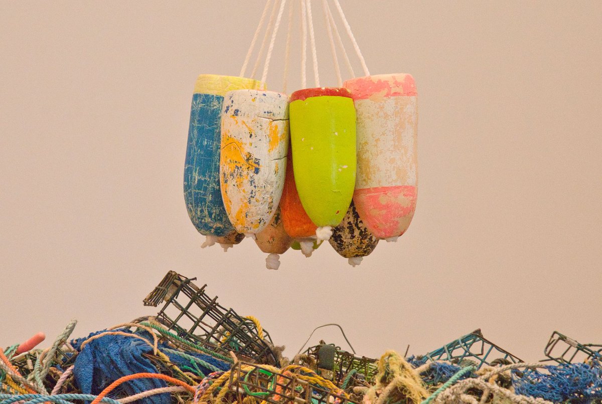 Julian Barbarino 🇵🇷 tweet media