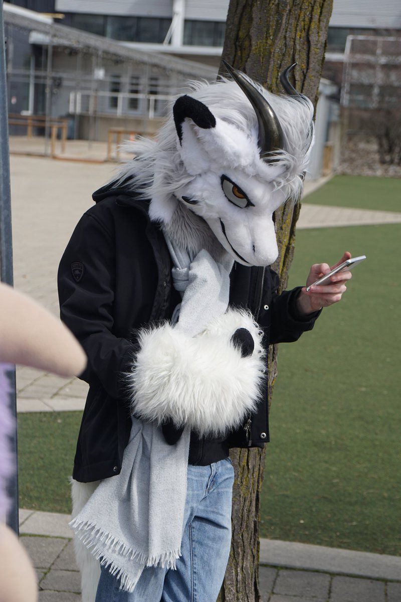 Lost dragon. Uh oh. #FursuitFriday