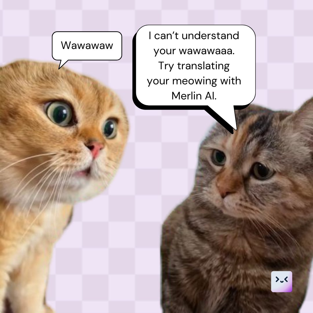 If only there existed a device that could translate animal language into a language us humans could understand! However, you CAN translate over 25+ languages using Merlin AI! Not only that, but you can also chat with web pages, create summaries with the best AI models and so…