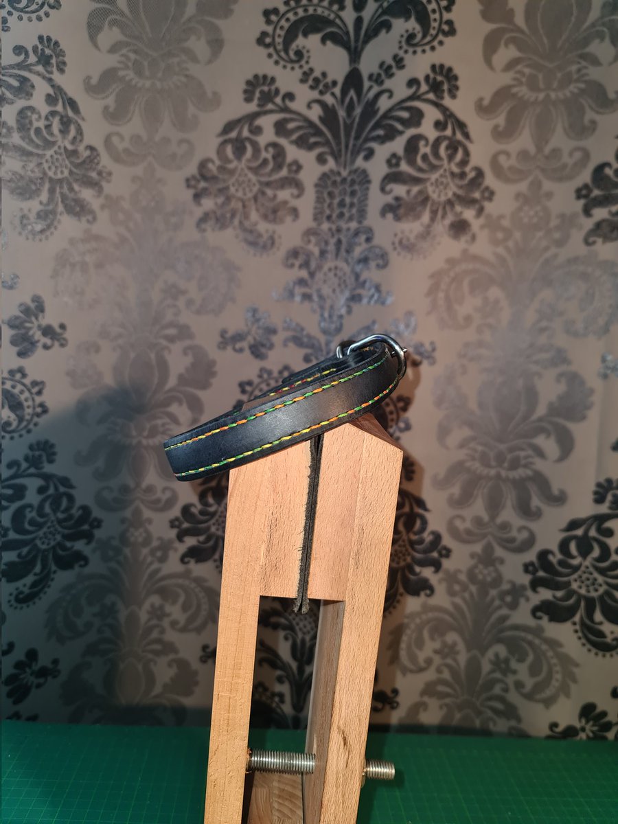 RAINBOW COLLAR SELFMADE
#PETPLAY #petplay
