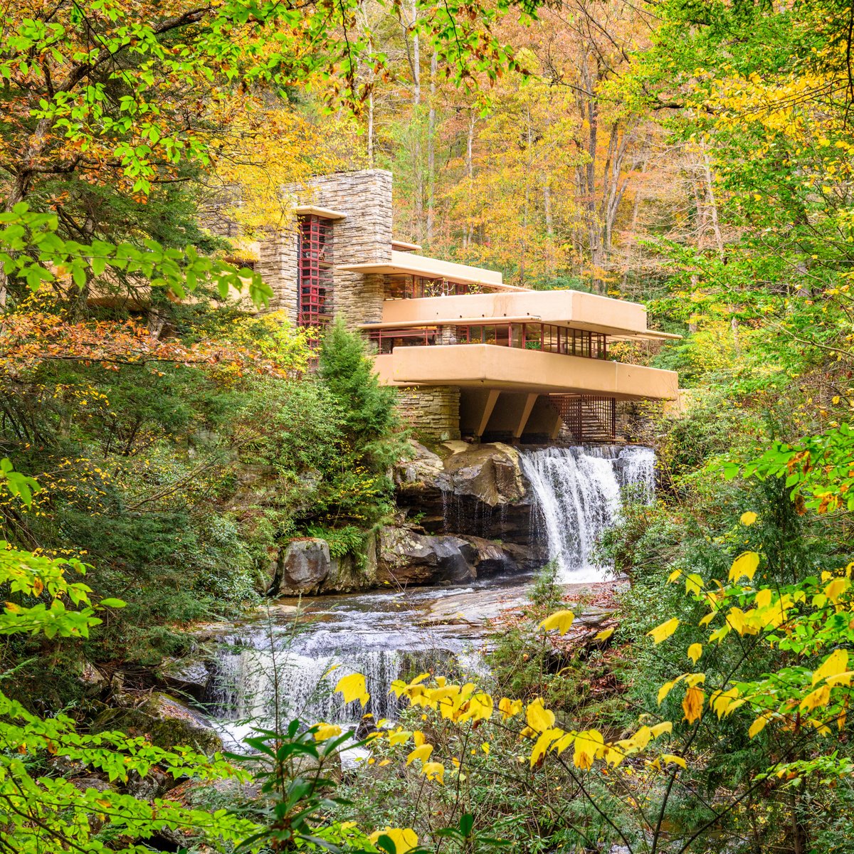 Viatjant fins a un bucòlic salt d'aigua perdut al bell mig d'un bosc de Pennsilvània, #taldiacomavui de 1936 Frank Lloyd Wright féu la primera visita d'obra d'un dels seus projectes més celebrats: la Casa Kaufmann (1936-39), més coneguda com a 'Fallingwater'. Fil 🌿💦