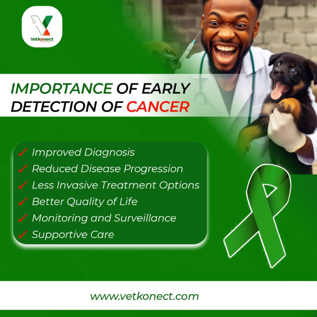 Early detection and treatment of cancer in animals are crucial for ensuring the best possible outcome and quality of life for animals under our care. 

Prioritize the health of your animals by finding a Vet close to you at vetkonect.com

#Vetkonect #Animalhealth #Cancer