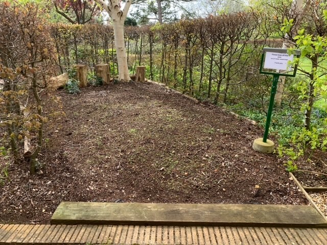 An unused smokers corner in the grounds of our Steven’s Close site has been transformed into a new space for #wildflowers, thanks to the hard work of caretaker Malachi. We're looking forward to an abundance of insect-friendly flowers in summer and autumn 🌻🐞🐝 #wildoxford #flora