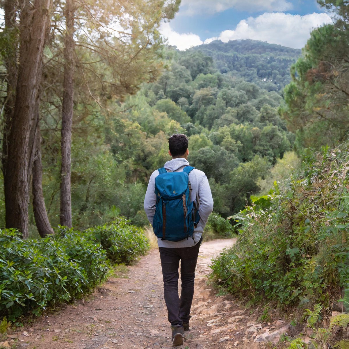 🚨 ¿Vas a explorar lugares de difícil accesibilidad este fin de semana? No te arriesgues, descarga AlertCops y activa la función GUARDIAN para viajar con seguridad, ¡donde sea que vayas! #ParaTuSeguridad