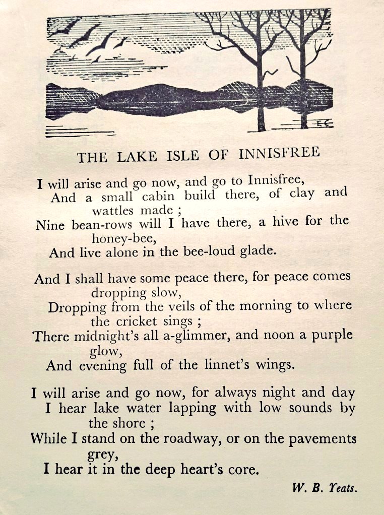 Cian McCarthy tweet media