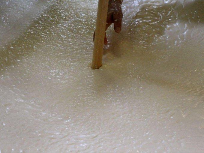 anaborare's tweet photo. *Lo sai che*
Il latte delle #vaccherosse è ideale per la produzione del Parmigiano Reggiano.
Diversi studi hanno dimostrato che il latte di Reggiana, rispetto a quello di Frisona è più ricco in residuo secco, ceneri, proteine, caseina, calcio, fosforo e acido citrico. https://t.co/crxLFoh7cA