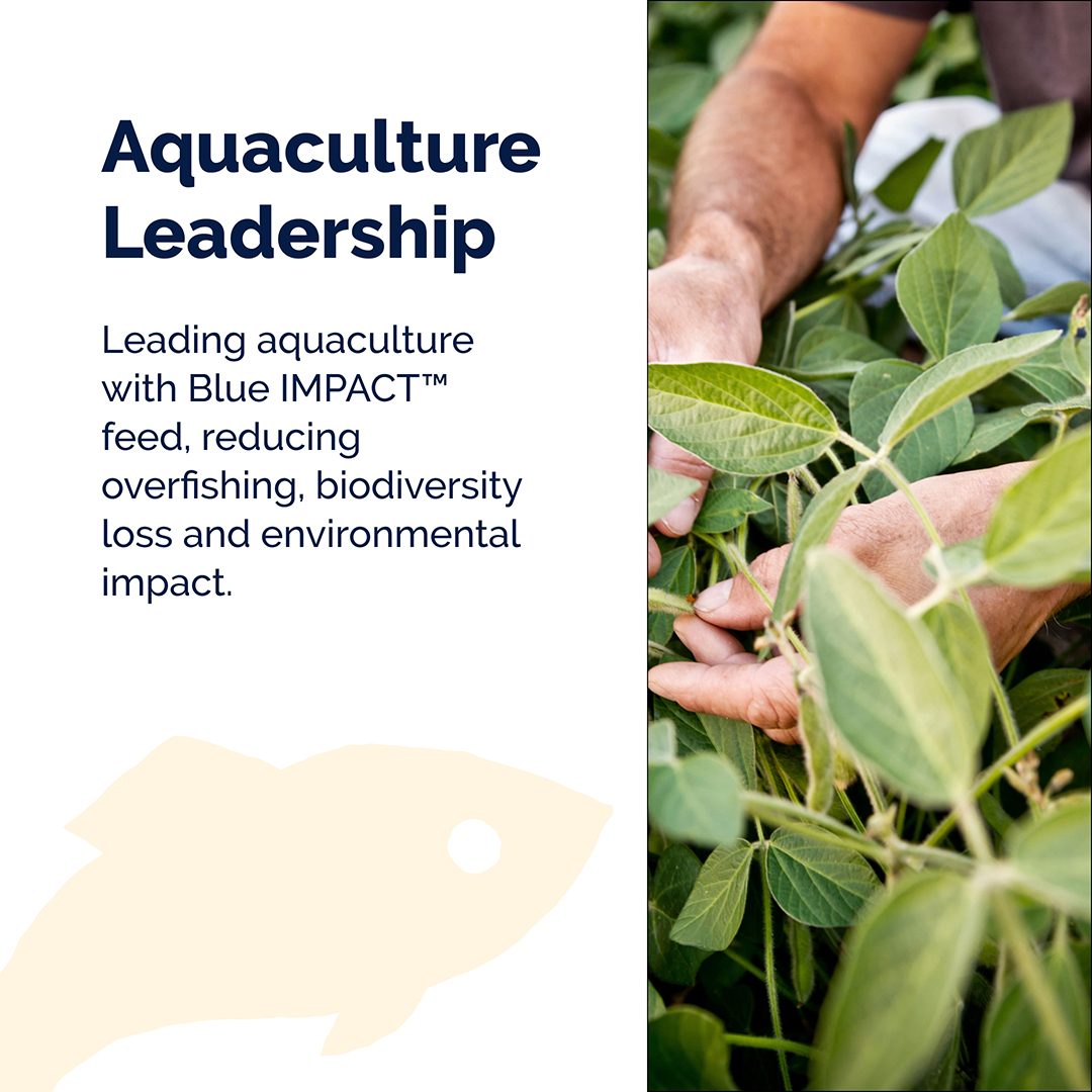 Collaborating across the value chain, @BioMarGroup enhances nutrient density in #BlueFoods, providing a healthier diet for the growing global population 🐟➡️Read this case study from @WEF's Friends of Ocean Action's Global Sustainable Aquaculture Roadmap aquacultureroadmap.org/aquacultureroa…