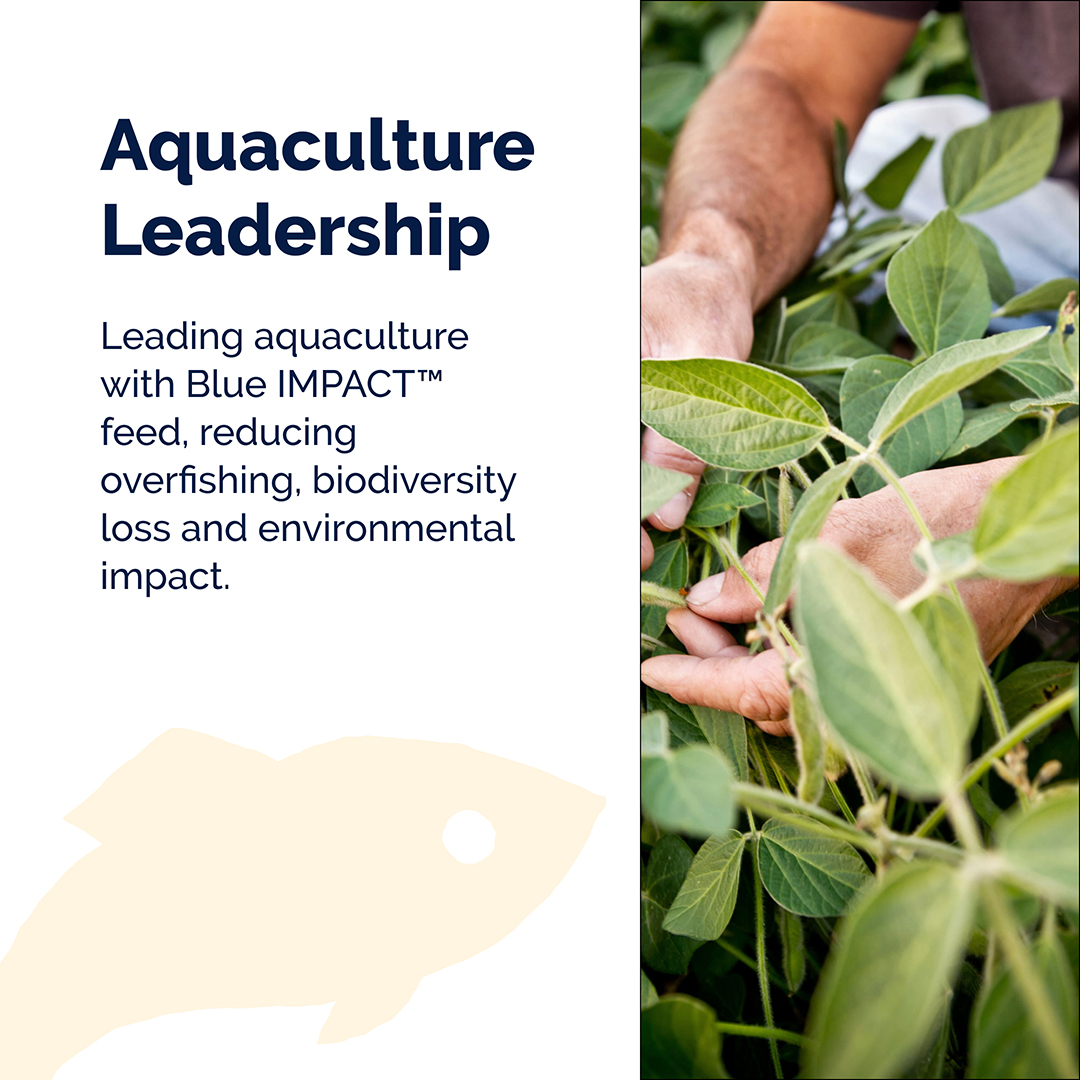 Collaborating across the value chain, @BioMarGroup  enhances nutrient density in #BlueFoods, providing a healthier diet for the growing global population

🐟➡️Read this case study from @WEF's Friends of Ocean Action's Global Sustainable Aquaculture Roadmap
aquacultureroadmap.org/aquacultureroa…