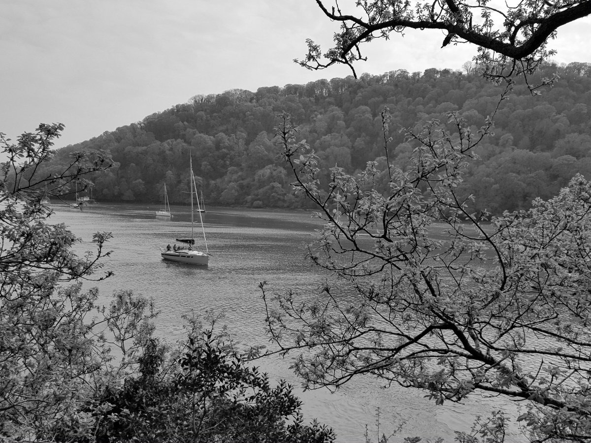 #OffMyBeatenTrack   View of the river Dart from Greenway, Agatha Christie's property near Torquay, Devon
 author.to/JacquesForet

📚📔#CosyCrime #JacquesForêtMysteries #Kindle #KU #JamesetMoi