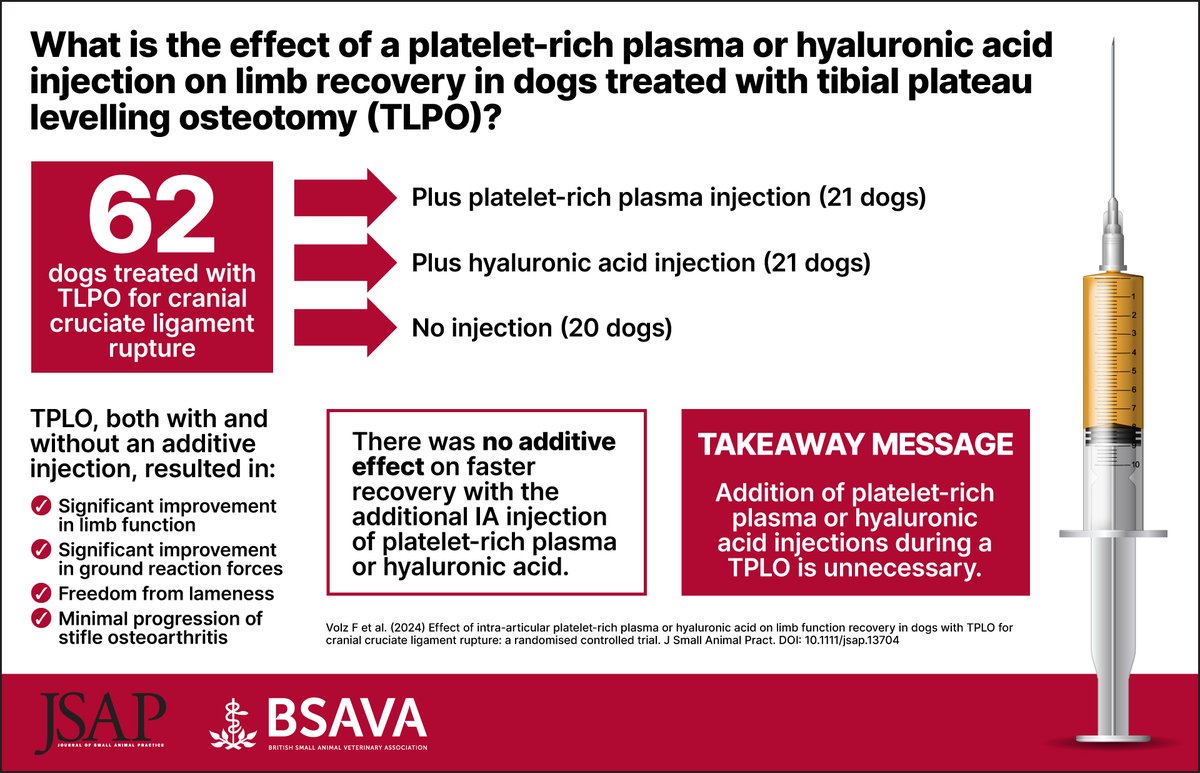 This month’s featured paper published in the Journal of Small Animal Practice investigated the effect of intra-articular platelet-rich plasma or hyaluronic acid on limb function recovery in dogs with TPLO for cranial cruciate ligament rupture. Read here: ow.ly/Y0hc50RiQFL