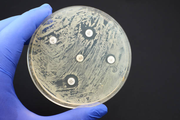 German legislation requiring bacterial culture and susceptibility testing before prescription of fluoroquinolones and third-generation cephalosporins to dogs has reduced the prevalence of methicillin-resistant Staphylococcus pseudintermedius. Read more at ow.ly/HO9Z50RiTP3