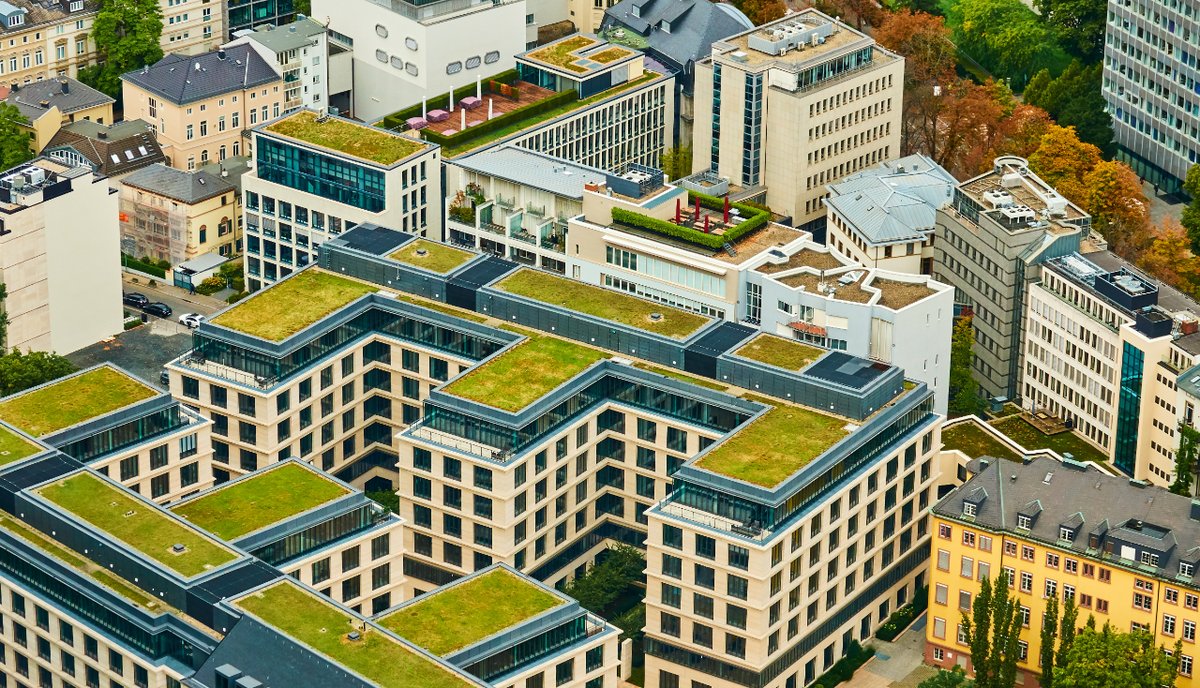 📌 Nature on top of the world! 🌍

Green roofs🏡 are an innovative architectural solution that helps mitigate the urban heat island effect and improve air quality. 🍃

More information👇
naturbuild.eu/en/green-roofs…

#GreenRoof #UrbanEnvironment #GreenArchitecture #SustainableCities