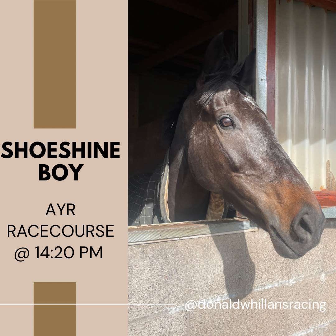 🏁Race Day🏁 We are headed to @ayrracecourse ⏰ 14:20 🐎 SHOESHINE BOY 🐎 ⚡️ Craig Nichol in the saddle 🔑 For Mousetrap Racing 👇🏼Race preview posted below👇🏼 donaldwhillansracing.com/News/Apr19thNe…