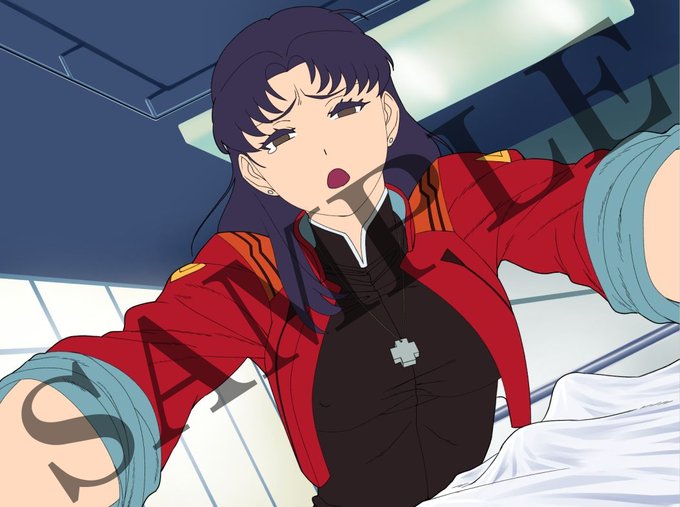 今日の進捗
リツコ編でも似たような絵があったけど、あっちは20話のあとで、こっちは16話の後なのだ 