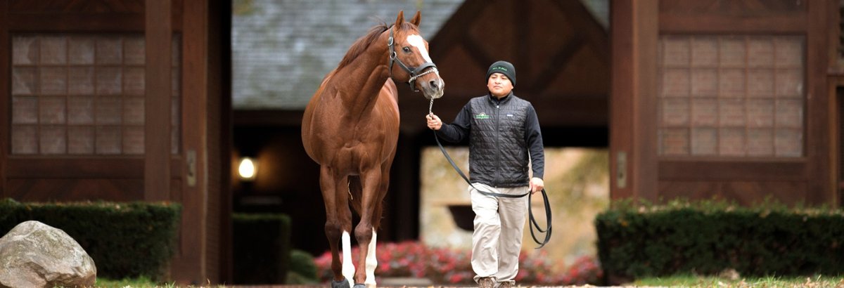 With the sons of Kitten's Joy starting to gain traction at stud, the legacy of Ken and Sarah Ramsey's much-missed stallion looks assured. Nancy Sexton takes a look at the emerging sire line: theownerbreeder.com/columns/sexton…