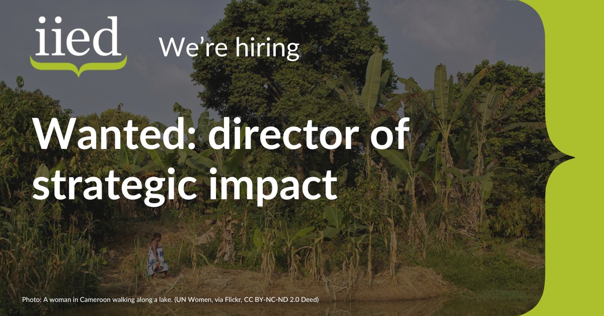 WE'RE HIRING: Director of strategic impact --> iied.org/wanted-directo… We are seeking a #director of strategic impact to play a pivotal role in driving our new #strategy, addressing the critical challenges of nature loss, climate change and inequality. Apply by 1 May.