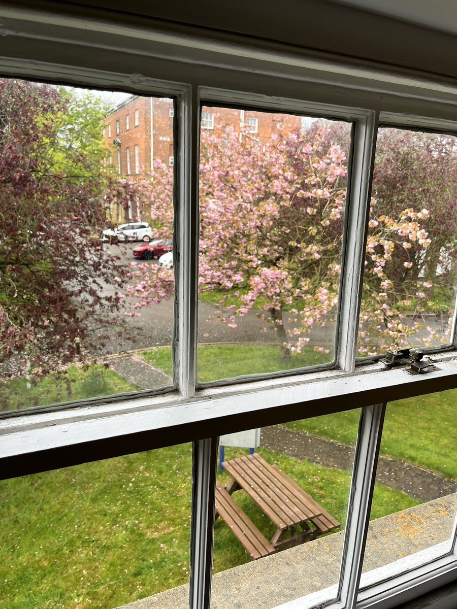 Lovely blossom tree in York! An early morning start to facilitate the Priory numeracy exam @BoltonNursing @PrioryGroup