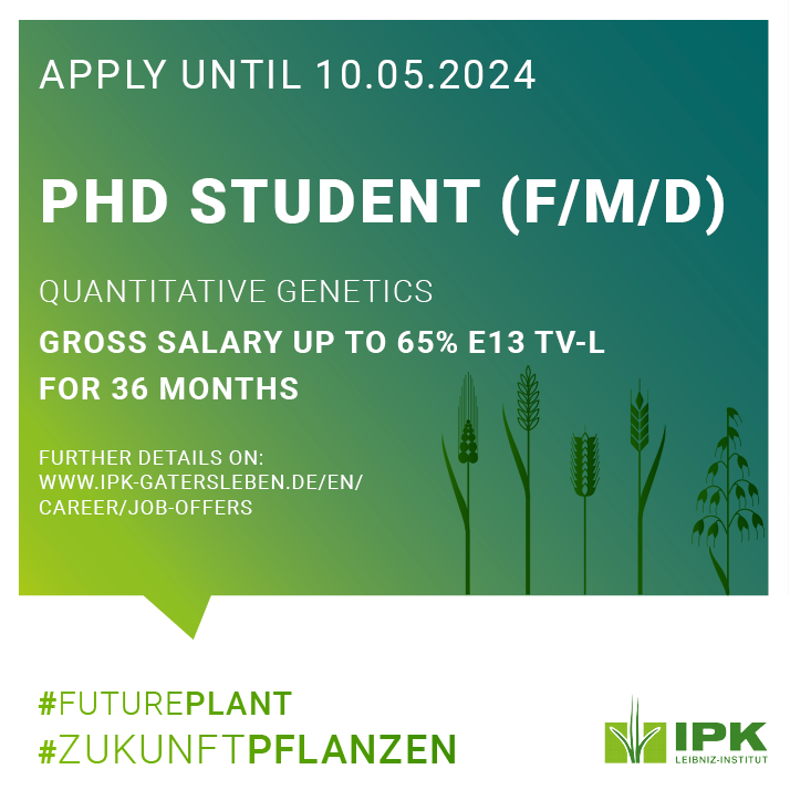 LeibnizIPK's tweet photo. The Quantitative Genetics group at @LeibnizIPK is interested in devising and evaluating ‘omics’-based  breeding strategies to boost selection gain in (pre)breeding programs. In the frame of a research project we are looking for a PhD student.
➡️Read more: https://t.co/OwTwzCxjjy https://t.co/wjP7uDeOdS