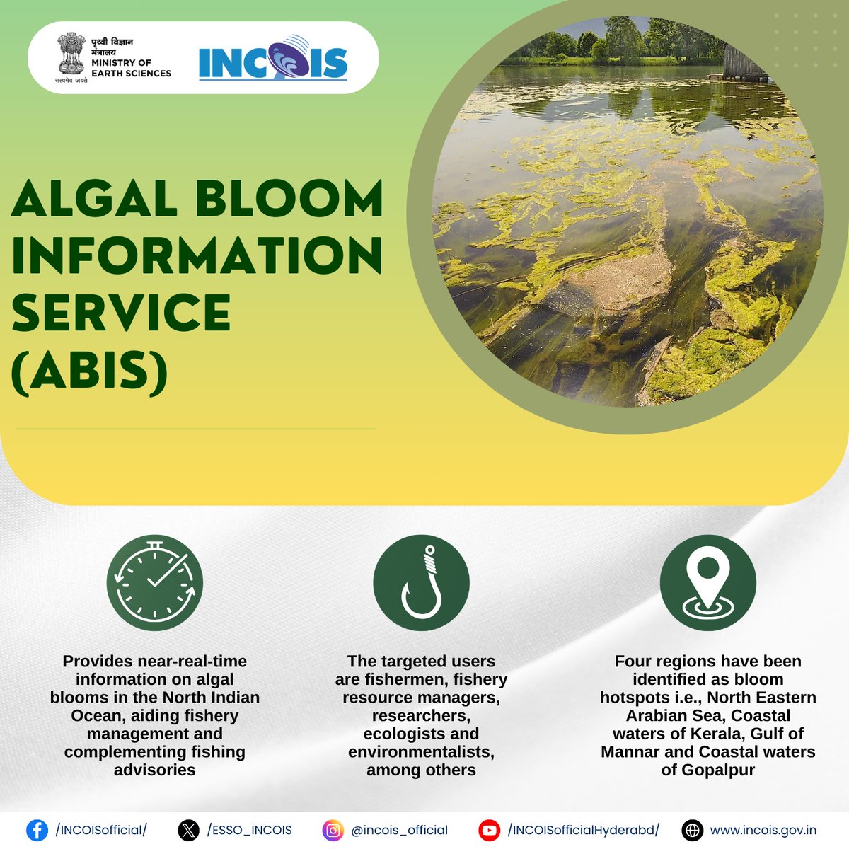 Monitoring and Managing Algal Blooms. INCOIS's Algal Bloom Information Service provides real-time data on bloom spread, aids fishery management, hotspot identification, safeguards marine ecosystems and fisheries. #AlgalBloomMonitoring #OceanHealth