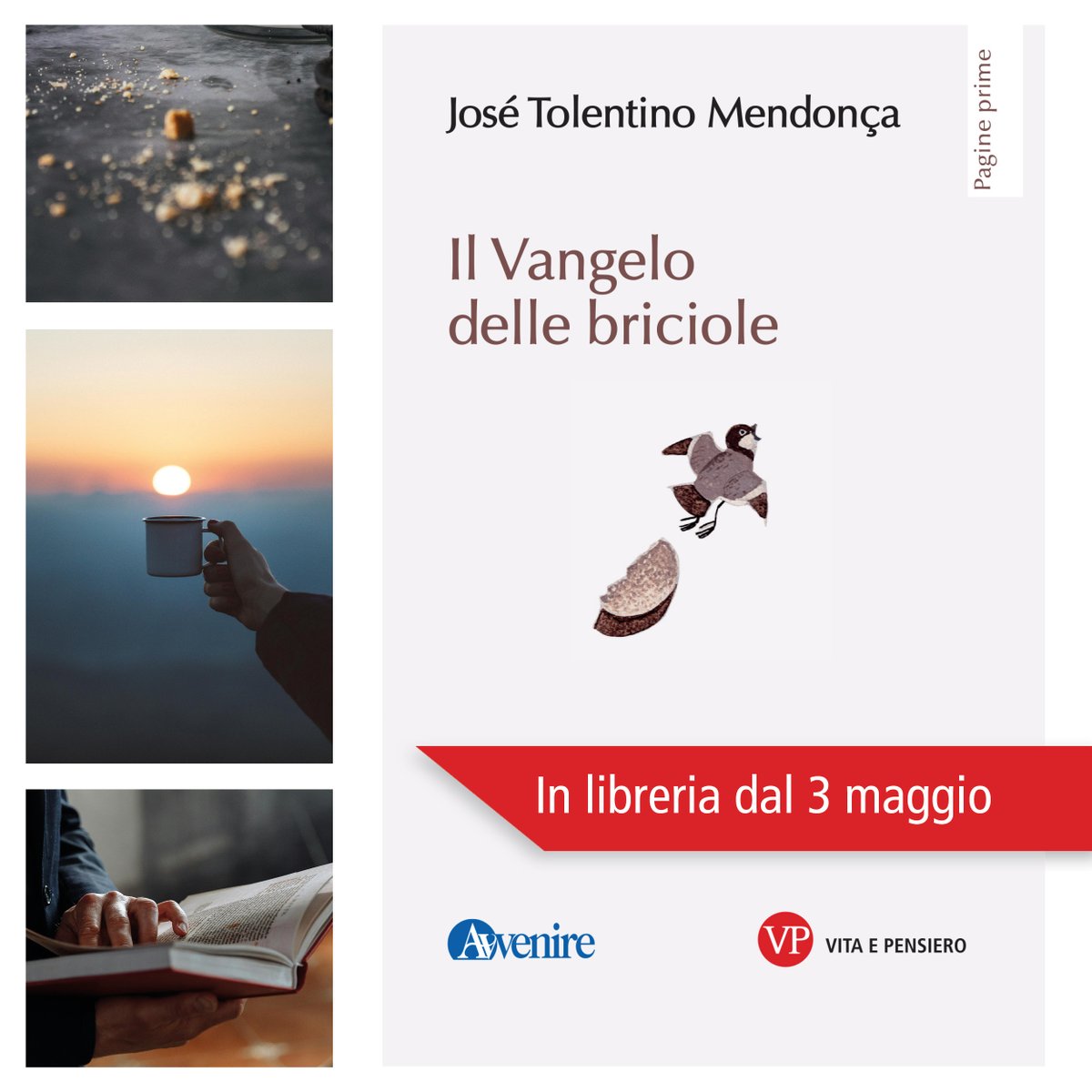 «Impariamo ad assaporare, con la medesima #gratitudine, l'intero e le umili #briciole» 📚 Da oggi #3maggio in libreria 'Il Vangelo delle briciole' di #JoséTolentinoMendonça @Avvenire_Nei 👉vitaepensiero.it/scheda-libro/j…