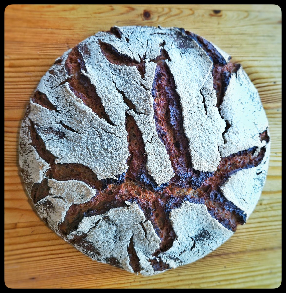 paindematthieu's tweet photo. Et vous, que voyez-vous dans le dessin de la grigne sur la tourte de seigle-châtaigne ?
Cuisson du jour, aux #7epis.

#moulinastrie #Fermentationlongue #faibleensemencement https://t.co/ElyHW2RyFc