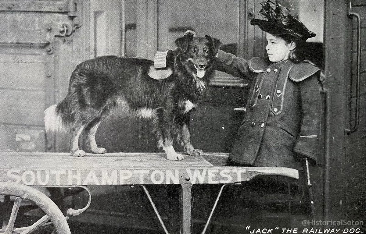 Jack the railway dog, collecting money for charity at Southampton West (now Central) railway station, early 1900s.