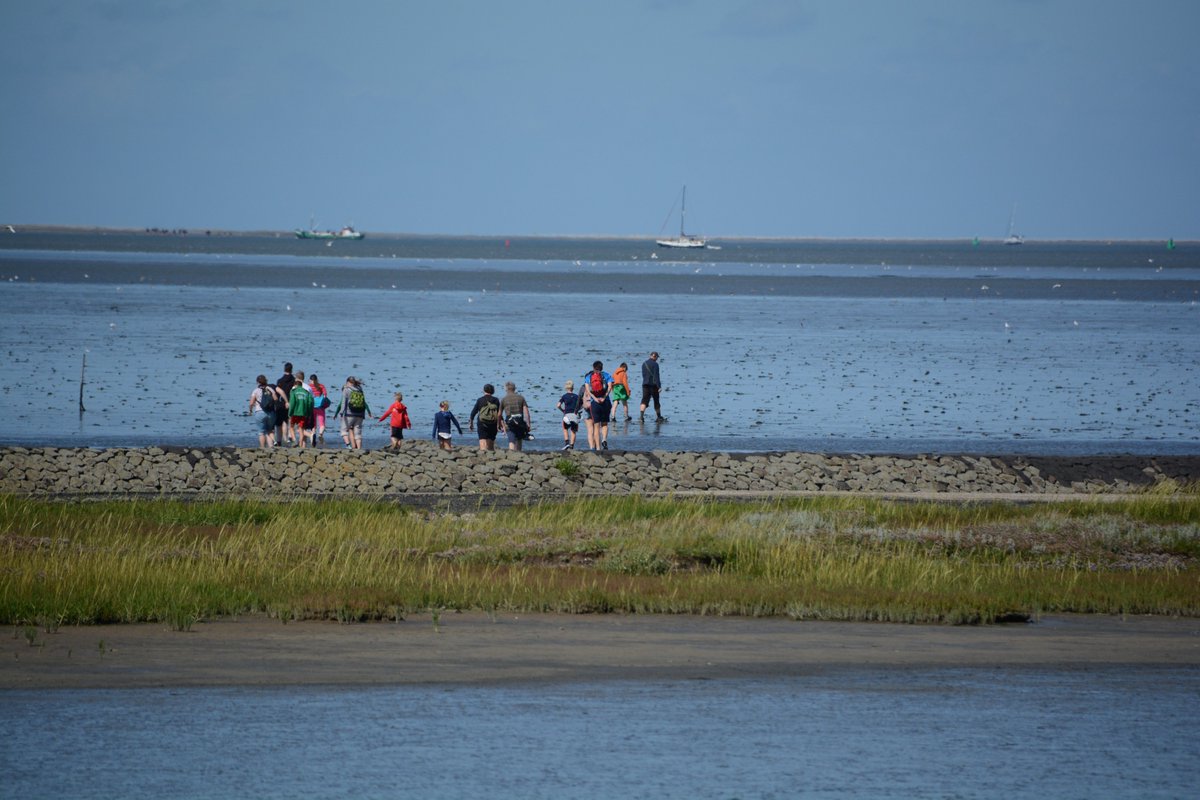 De Raad van Advies van <a href="/HolwerdaanZee/">Holwerd aan Zee</a>, beter bekend als Doorbraakraad, heeft onlangs een eerste serie adviezen uitgebracht aan de stichting. Ook zijn de feiten op rij gezet: is.gd/FeitenrelaasHa…

Meer info over de RvA en recente adviezen: is.gd/RaadvanAdviesH…