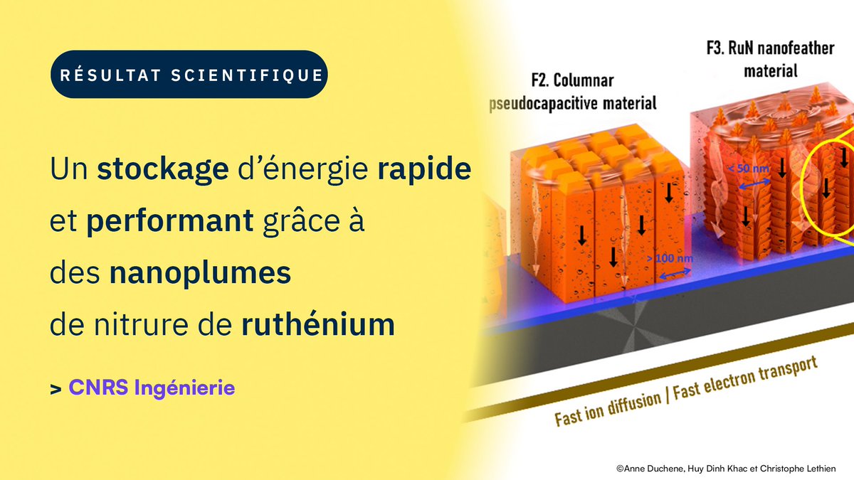 #RésultatScientifique 🔎| Des travaux impliquant @iemn_fr et @UCCS_8181 sur le stockage d'énergie.
 
➡️insis.cnrs.fr/fr/cnrsinfo/un…
🤝@CNRS_HdF @UphfOfficiel @univ_lille @CentraleLille @RechercheArtois @Junia_ingenieur