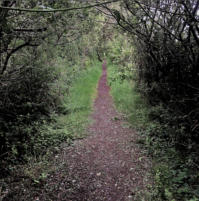 I've always liked the ghosts of the wood. They rarely have grand titles, fancy clothes or demand deference. Whether poacher, pedlar or charcoal burner, their dead lives are entangled in its green growth. They walk its ways without a need for phantom pomp. – #CJosiffe, 1982