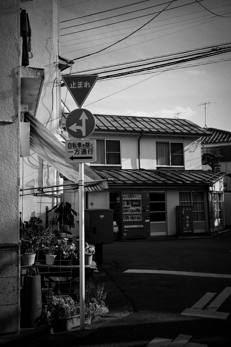 Str8Outta960's tweet photo. RICOH GR IIIx

#gr3x #griiix #grsnaps #ricohgr #grist #shootgr #streetphotography #streetsnap #monochrome #bnwphotography #モノクロ #白黒写真 #スナップ写真 #ストリート写真 #yousawscenes #キリトリセカイ #写真好きな人と繋がりたい #善福寺 https://t.co/amPPiIN2rc