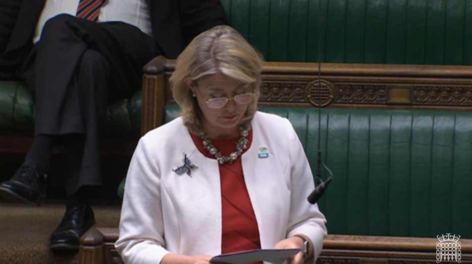 The Report Stage of the Pet Abduction Bill led by our Patron @Anna_Firth has begun. This important Bill - which delivers on a pledge in @DefraGovUK's Action Plan for Animal Welfare - will tackle pet theft #PetTheft #PetAbductionBill