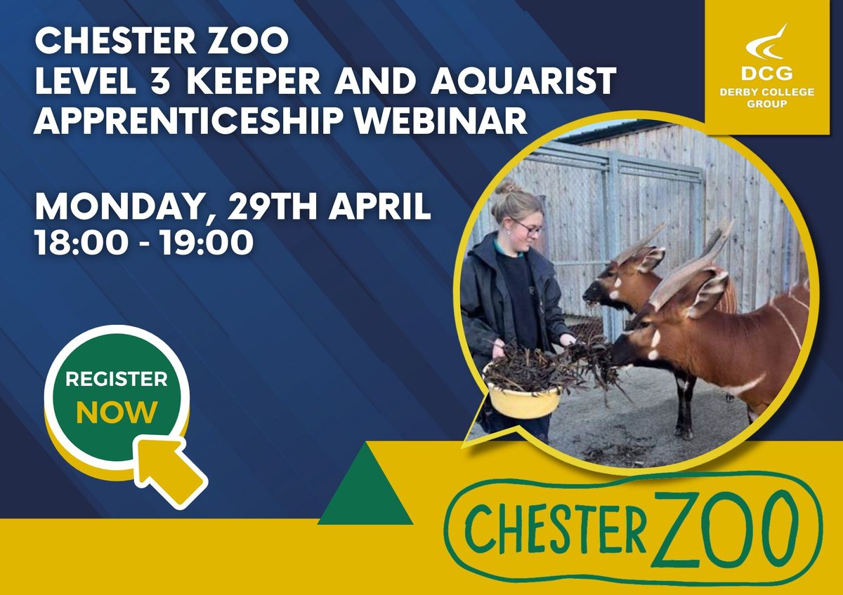 Join us for our exciting Online Apprenticeship Webinar with @chesterzoo on Monday 29th April from 6-7pm where you can find out more about the upcoming Level 3 Keeper and Aquarist apprenticeship opportunities on offer! Register here 👇 orlo.uk/emrBn