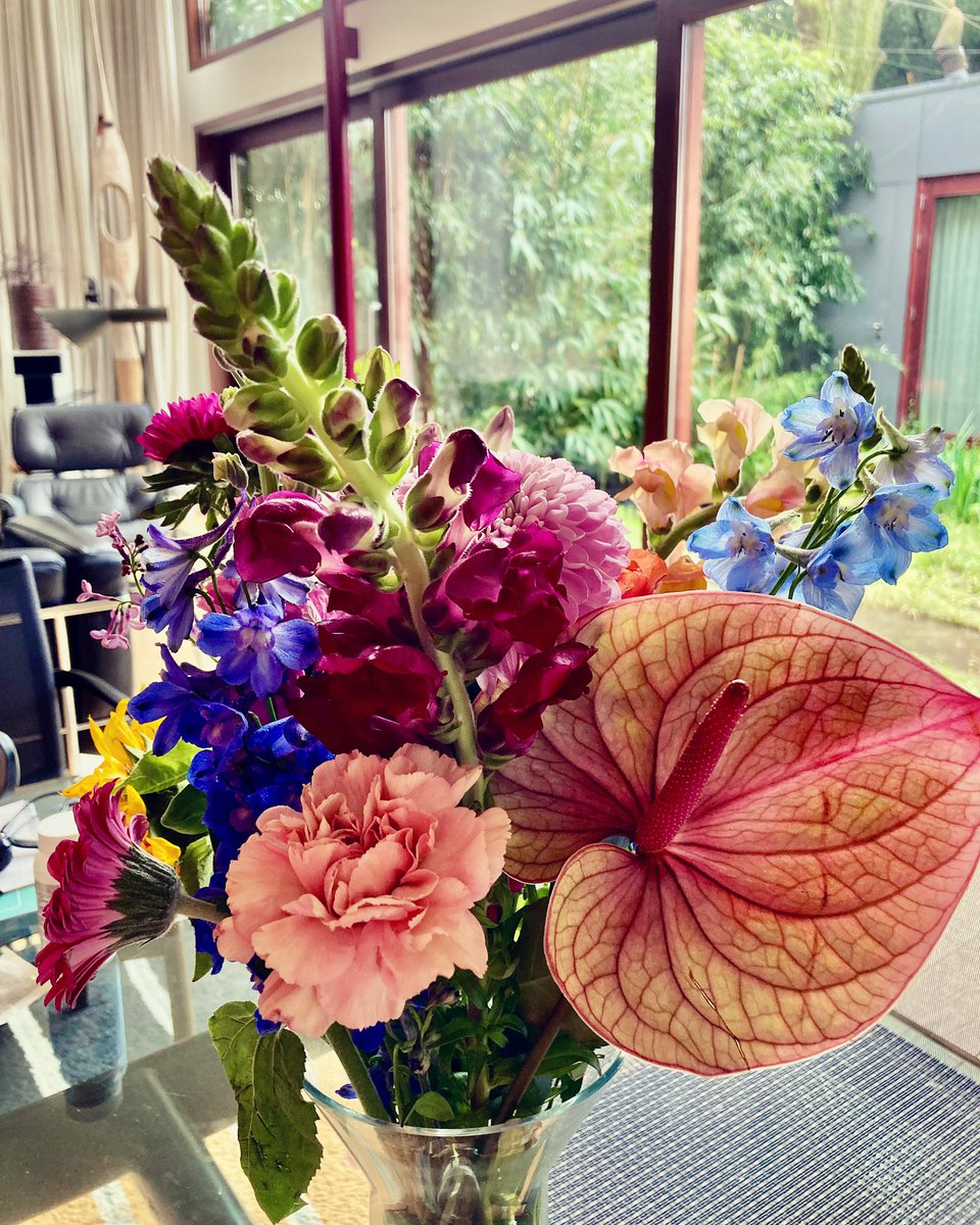 After a big performance, a calm and quiet Friday with beautiful flowers received yesterday 💐 (thank you @DutchNatOpera 💗), soft music, and a lot of rain outside 🌧️
.
.
.
#amsterdamlife #likeamsterdam #onlineamsterdam #helloamsterdam #iamamsterdam #iamsterdam #amsterdam