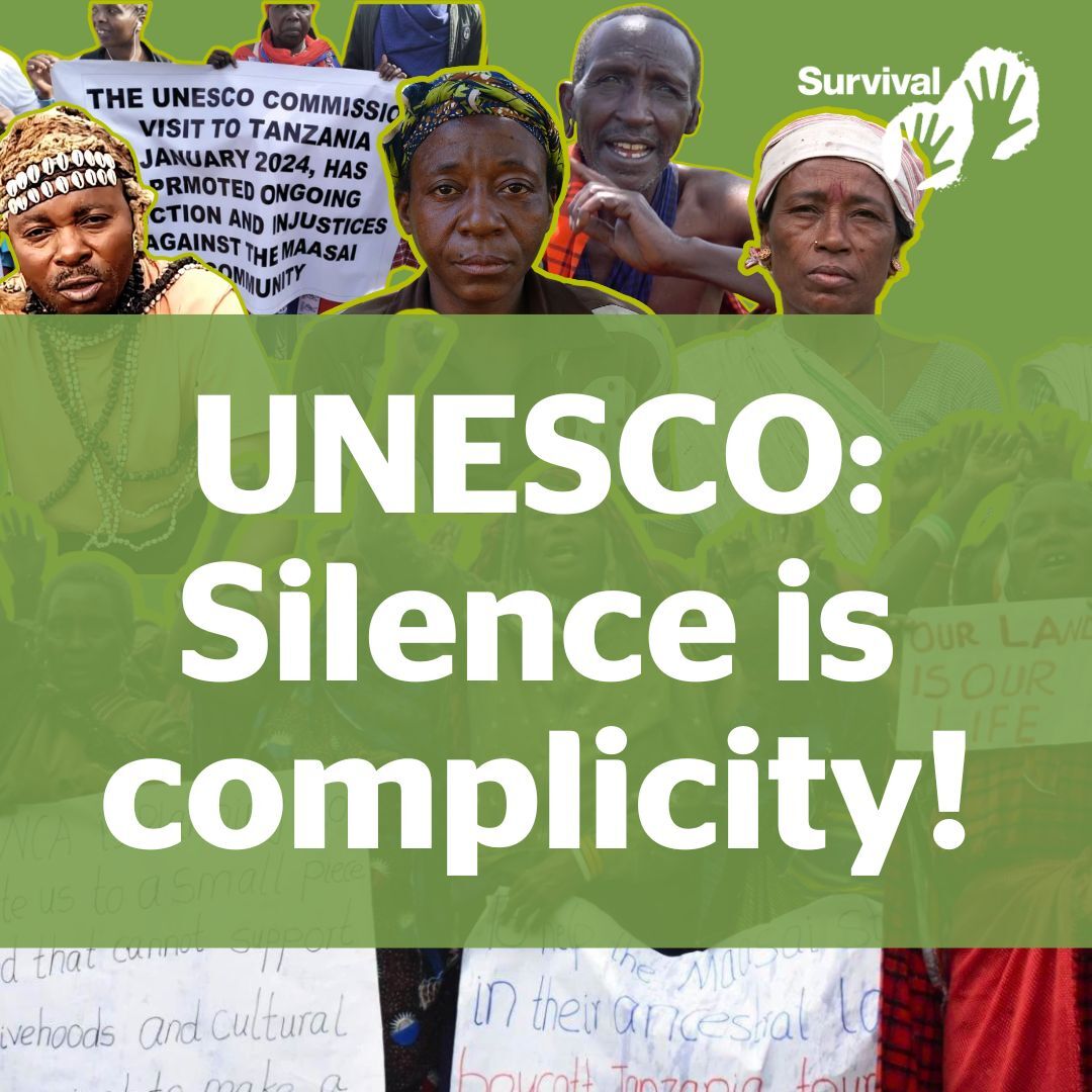 15 minutes in - @LongoFiore explains that many @UNESCO World Heritage Sites are in fact war zones, stolen Indigenous lands where the original owners are being assaulted, raped and killed. Why does @UNESCO tolerate this? bbc.co.uk/sounds/play/w1… Our report: svlint.org/unescoreport