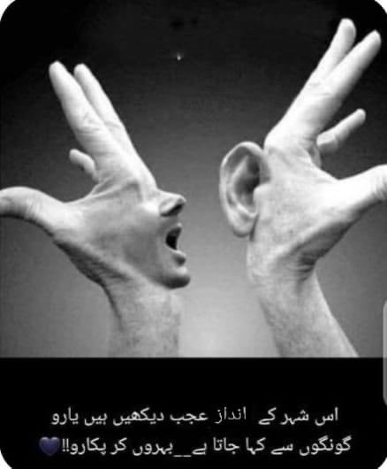 Mujeeb Baloch (@mujeebbaloch78) on Twitter photo 