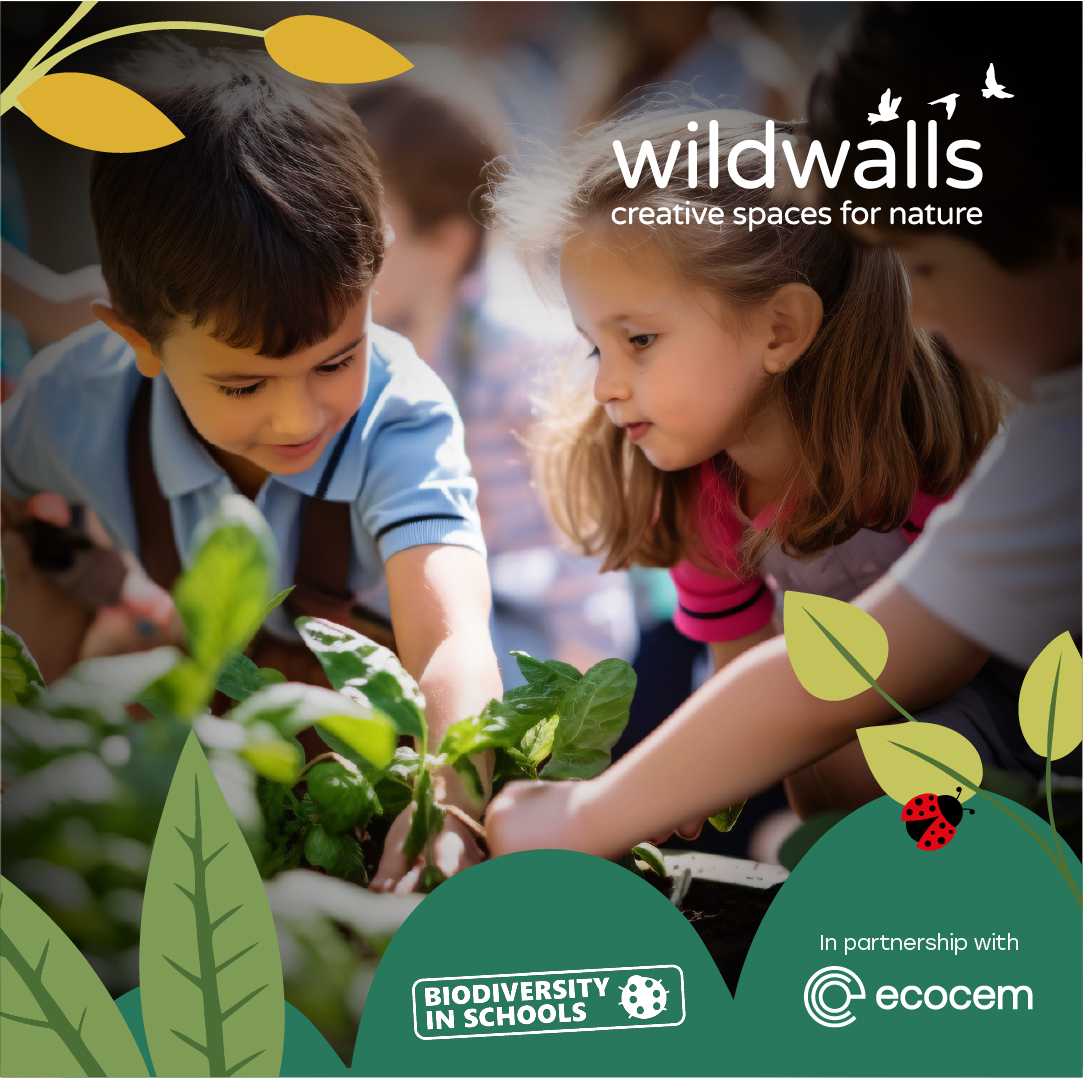 Wildwalls - ONLY 10 DAYS LEFT! We're asking young people across Ireland to reimagine spaces for #nature & design a #biodiversity wall for their #school. Thanks to our partner @Ecocem we have €5k worth of #biodiversity prizes available! biodiversityinschools.com/wildwalls.html