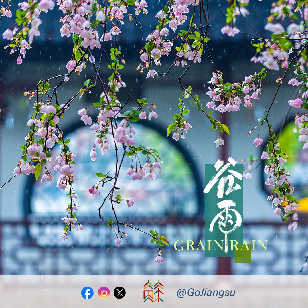 With the arrival of Grain Rain (Chinese: 谷雨), the last solar term of spring in the Chinese lunar calendar, temperatures rise rapidly and rain increases🌧️, making it a good time for farming🌱🌱. #ChineseCulture