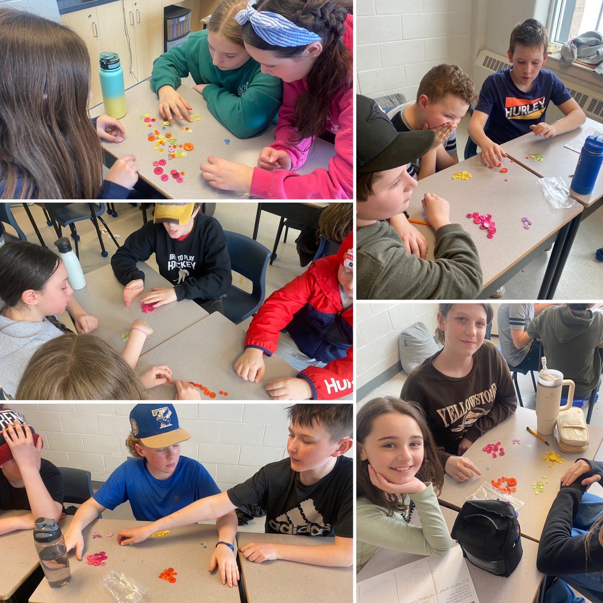 Classifying buttons as an introduction to classifying living things! <a href="/AdmiralsAcad_NL/">Admiral’s Academy Navigators 🏳️‍🌈</a>