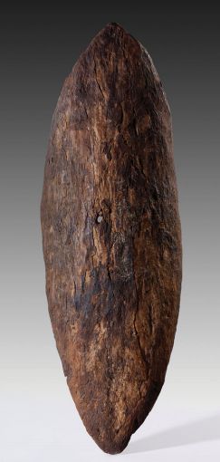 #OnThisDay in AD 1770, Captain James Cook, still holding the rank of lieutenant, sighted the eastern coast of what is now Australia on his first of three voyages in the Pacific. He took this shield from Kamay Botany Bay, purportedly after shooting the owner. 1/2