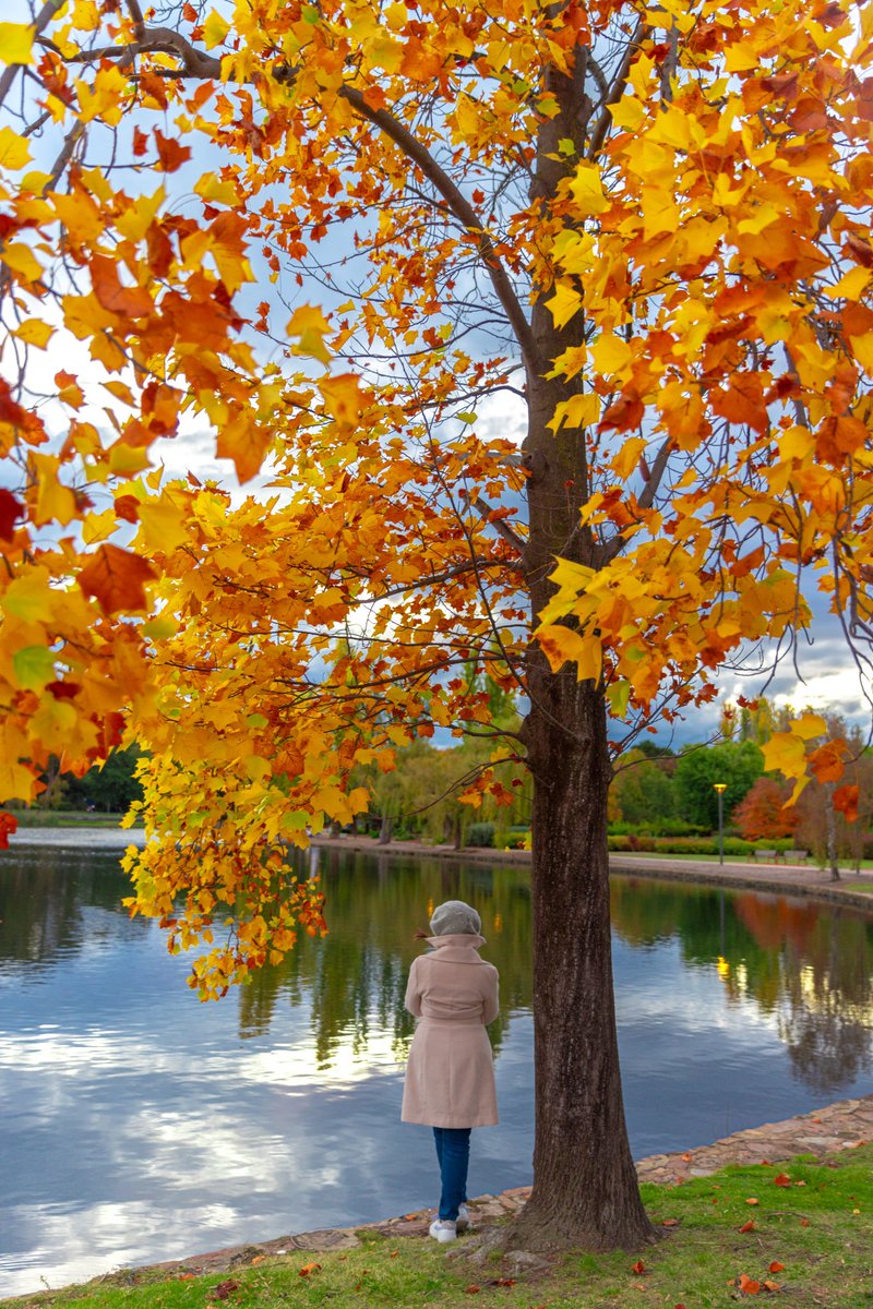 Hello Weekend

🍂🍂🍂
.
.
.
#tgif #sunset #autumncolors🍁 #helloweekend @Australia @visitcanberra @SimplyCheecky