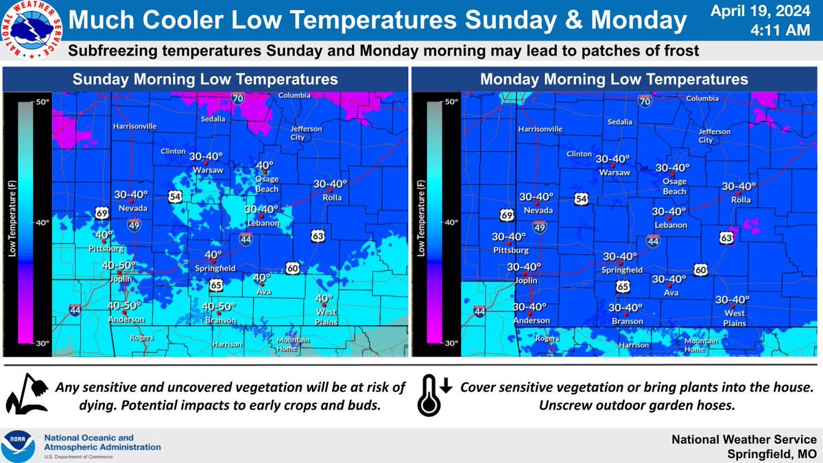 Temperatures could potentially drop below freezing on Sunday and Monday, introducing the potential for frost and impacts to new vegetation. #mowx #kswx #ozarkswx