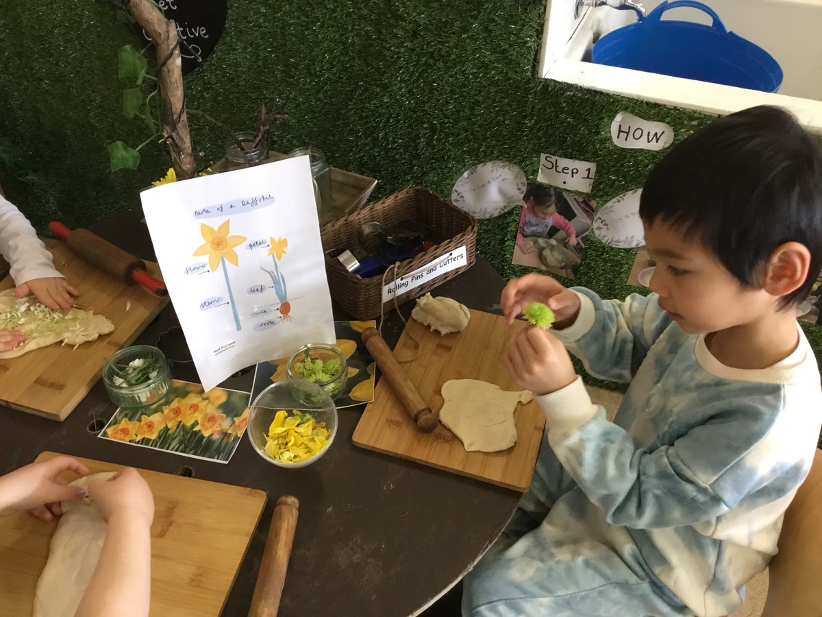 We have been looking closely at spring time flowers. We used daffodil petals and playdough to make beautiful and very creative transient art pictures. #ELCstnics #expressiveartsstnics @WlhwbChamps @wlelc #BeingMe