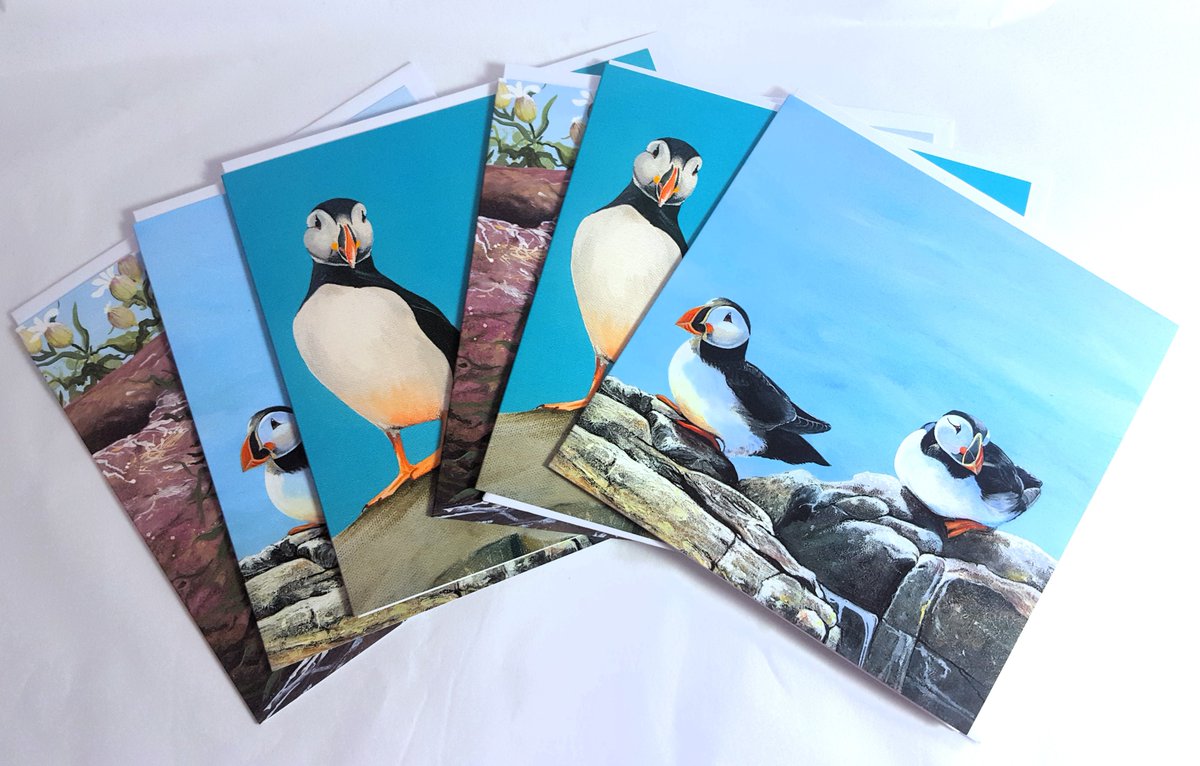 .@UKGiftHour And of course I also have 3 different prints of puffins, also available as cards - all available in my online shop. Just 'search' puffin crownstudiogallery.myshopify.com #PuffinFriday #shopindie