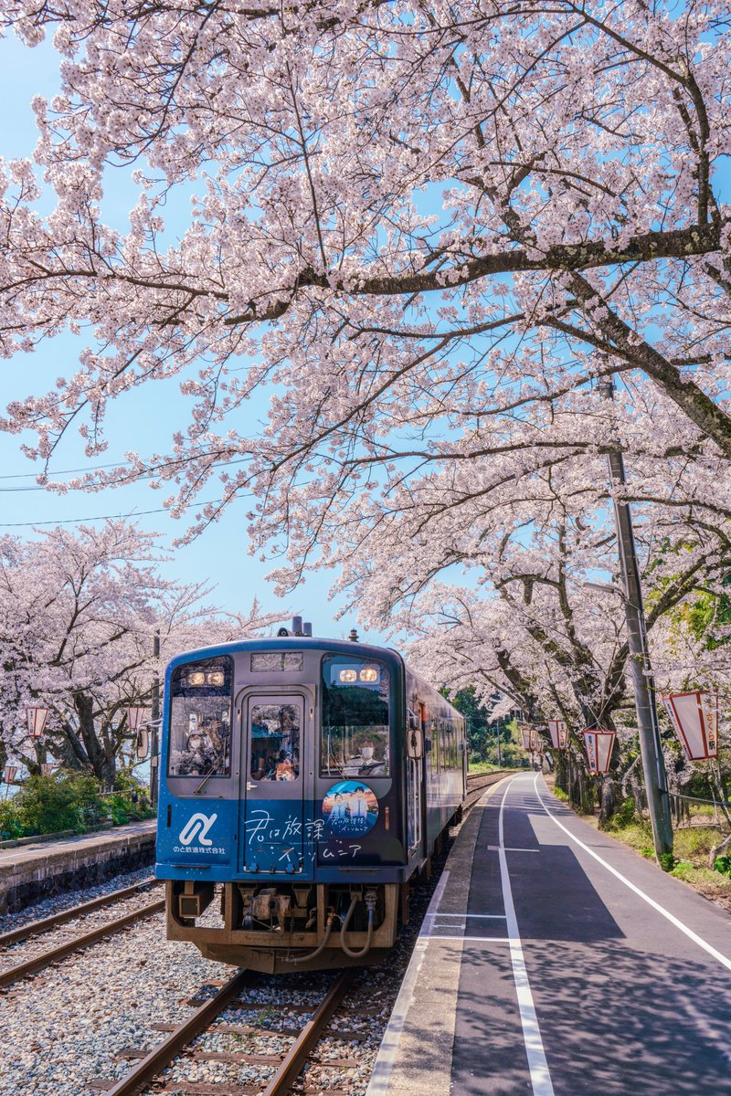 能登のさくら駅

やっぱりここは桜が合う。
