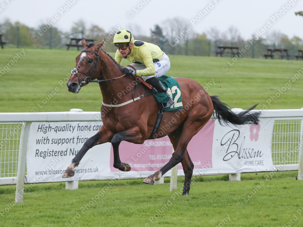 bit.ly/4aVTXEo TOKYO BAY and @pierrelouis_j Win The Download @AtTheRaces App Handicap @RiponRaces 18th April 2024 Trained @karl_burke Owned By Sheikh Mohammed Obaid Al Maktoum