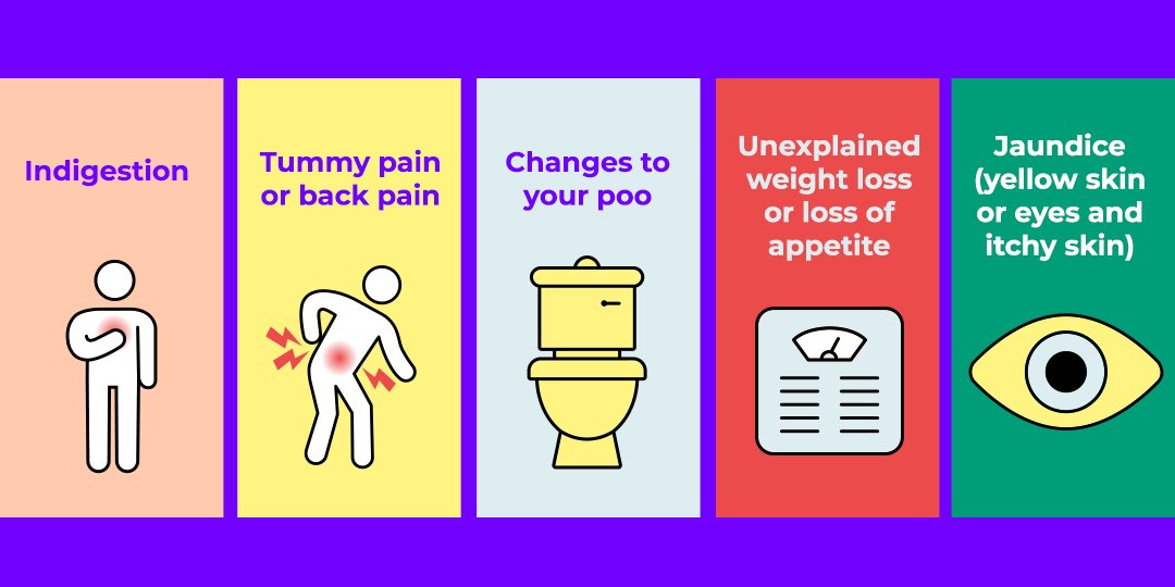 #PancreaticCancer is the deadliest common cancer. But do you know the symptoms? These can vary for each person, but if you know the symptoms, there's a better chance you, or someone close to you, will be diagnosed early enough for treatment. Read more: bit.ly/3TWzaZ7