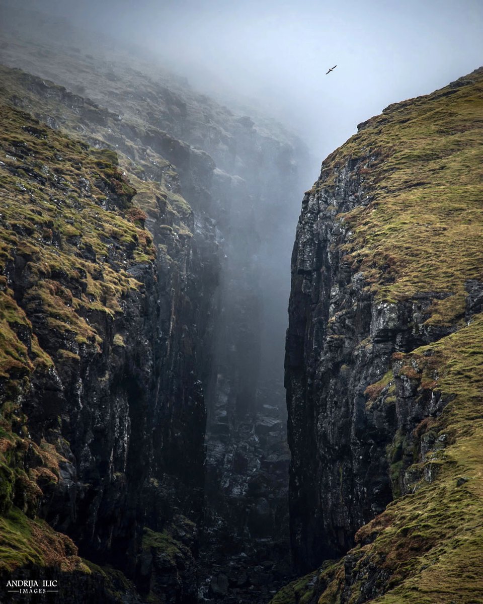 Birds in frames, part 2 📍 Faroe Islands

#TravelTheWorld #PhotographyIsArt @TheFaroeIslands