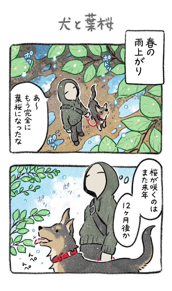 葉桜🍃
#絵日記 #犬漫画 