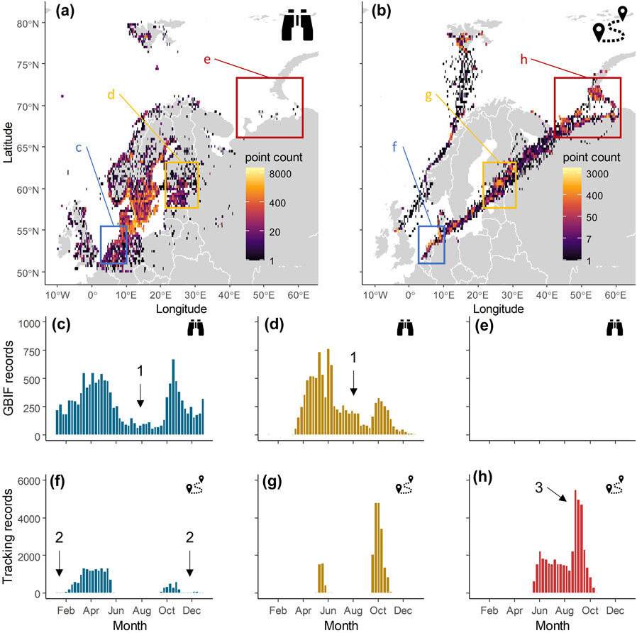 Making better use of tracking data can reveal the spatiotemporal and intraspecific variability of species distributions nsojournals.onlinelibrary.wiley.com/doi/full/10.11… #animal_movement #macroecology #global_change @NordicOikos @WileyEcolEvol