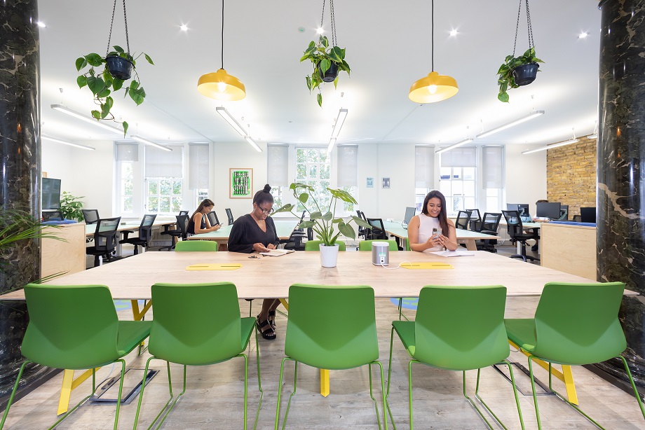 Plants make everyone feel better. 💚 
#coworking #flexibleworkspace #biophilia #wellbeing 🌱